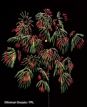 floral shell of shells_ring_ring